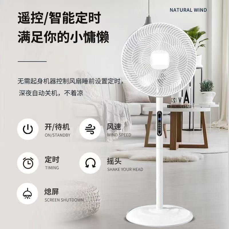 Rechargeable fan